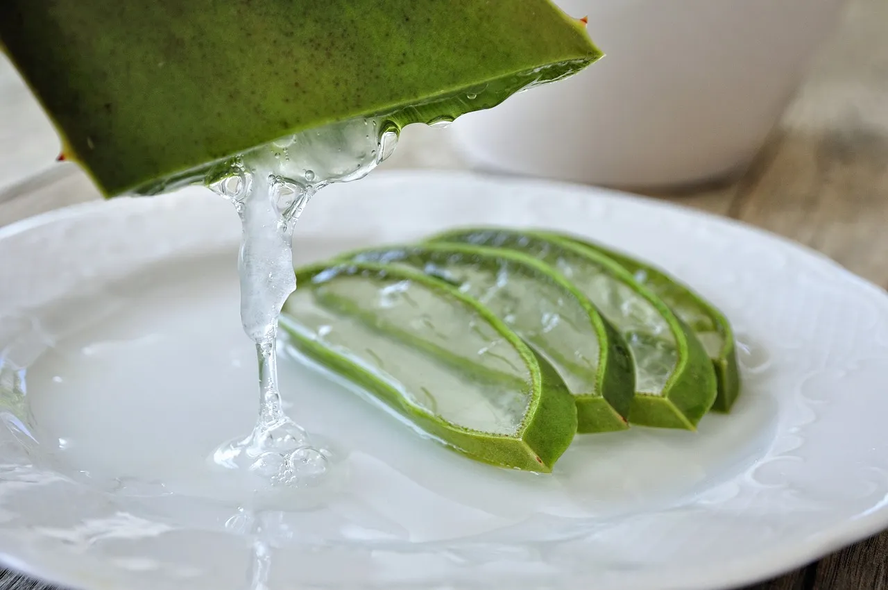 Cara Memakai Lidah Buaya untuk Wajah Sehat dan Glowing!