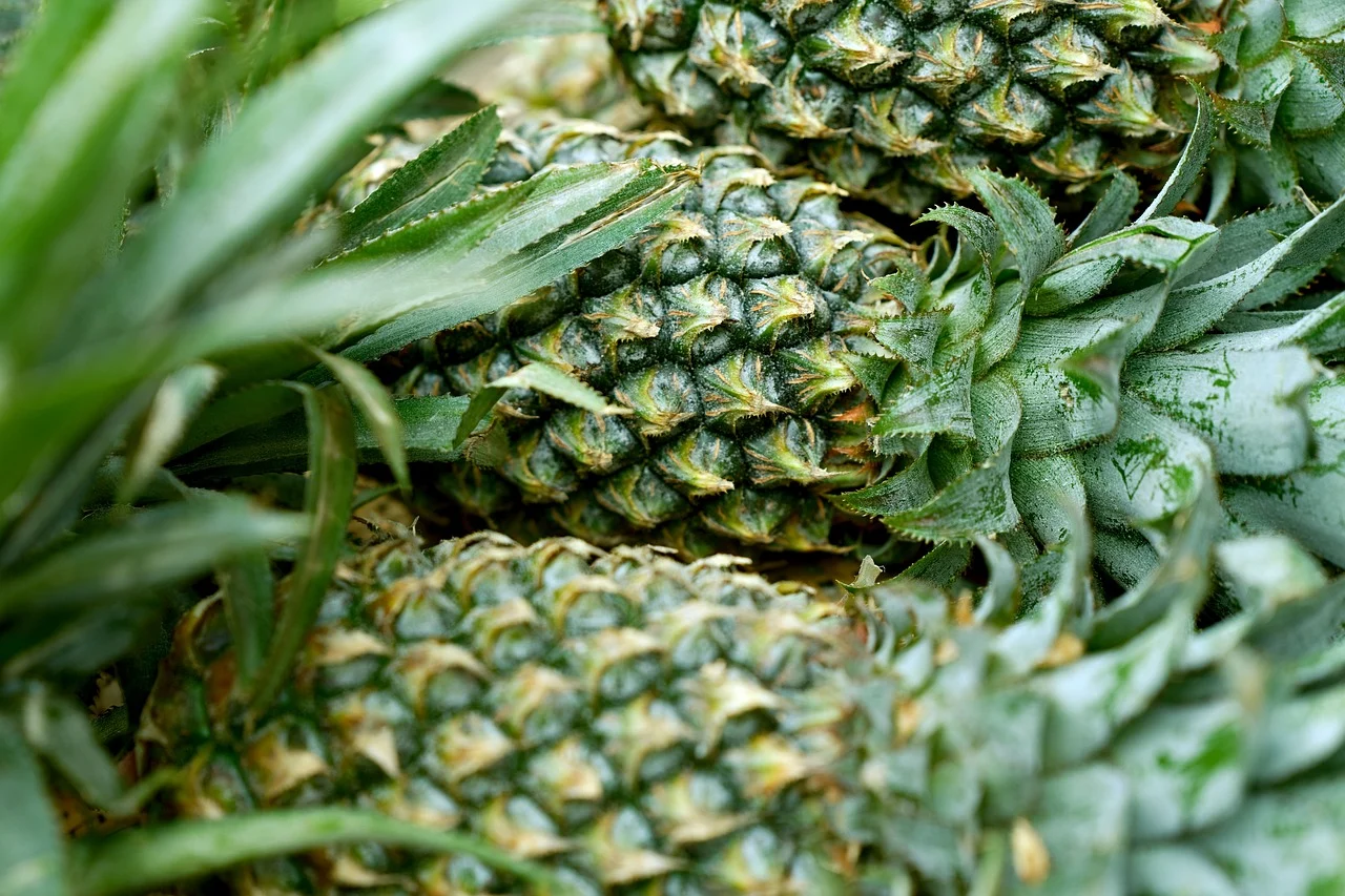 Manfaat Nanas untuk Pria: Mengungkap Khasiat Tersembunyi Buah Tropis