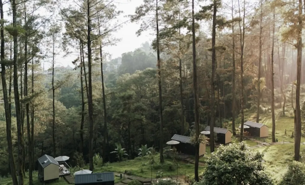 Harga Menginap Bobocabin Pacet Mojokerto: Informasi Lengkap dan Terbaru 2024