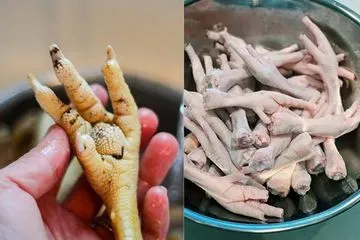 Kenali Arti Ceker Babat dalam Bahasa Gaul: Ngobrol Yuk!