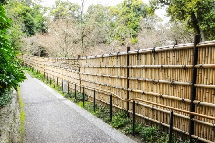 5 Pembatas Taman Minimalis yang Bikin Tamanmu Makin Kece!