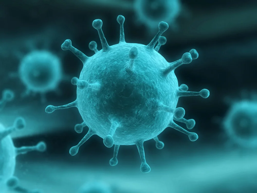 Tersobela Virus: Si Rubella yang Ngehits
