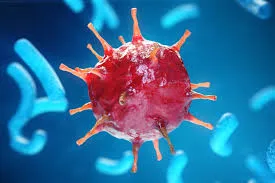 Apa Itu Virus Tokso Bella?