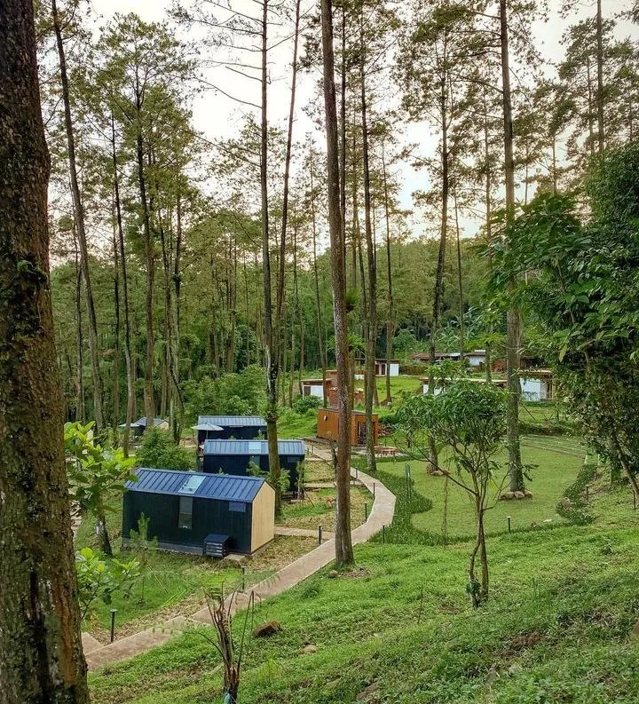 Bobocabin Padusan: Glamping Asik di Tengah Keindahan Alam Pacet, Mojokerto (Ilustrasi)