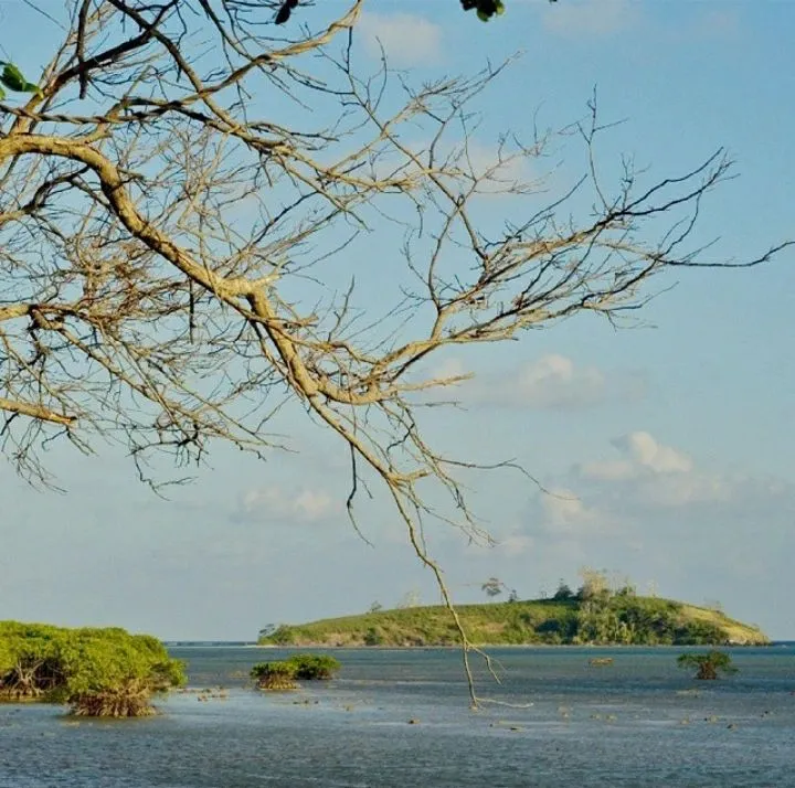 Yuk! Berkenalan Dengan Desa Karamian Pulau Terpencil di Sumenep Madura yang Lebih Dekat Kalimantan (Ilustrasi)
