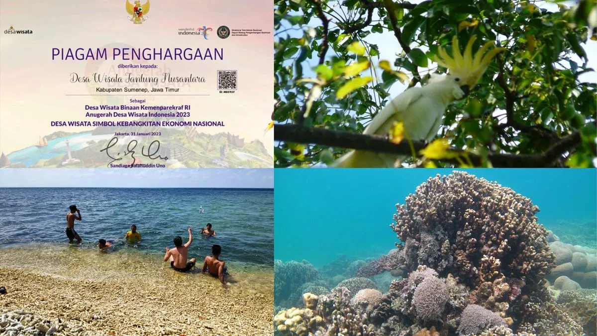 Pulau Masakambing: Surga Tersembunyi di Sumenep dengan Potensi Jadi Destinasi Wisata Nomor Satu! (Ilustrasi)