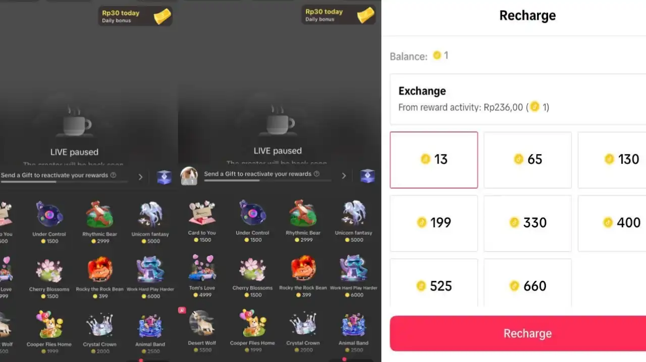 4 Cara Seru untuk Mengumpulkan Koin TikTok, Biar Kamu Bisa Beli Hadiah Impian! (Ilustrasi)
