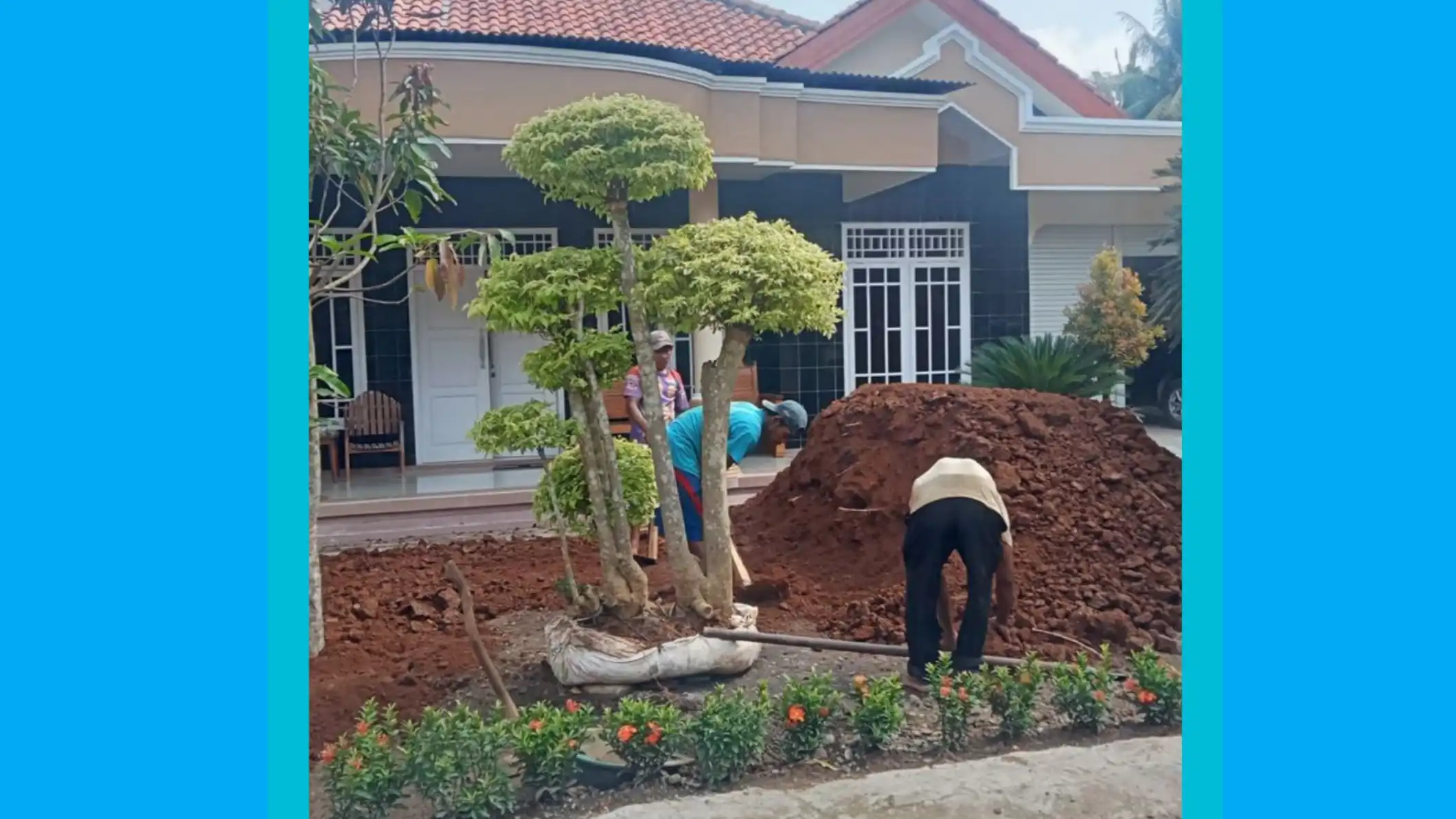 5 Fakta Mengejutkan: Pohon di Pekarangan Rumah Ternyata Bisa Mencegah Penyakit Mematikan! (Ilustrasi)