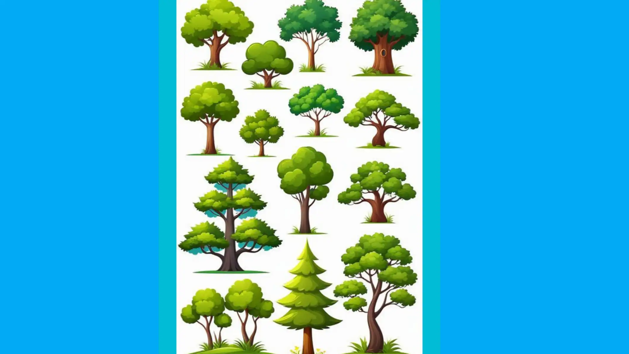 Did You Know? 10 Pohon Peneduh Ini Ternyata Aman untuk Rumah, Nomor 3 Sering Diabaikan! (Ilustrasi)